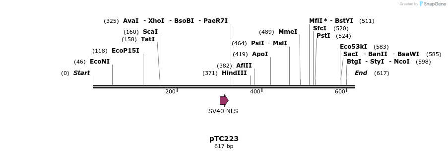 129790_map