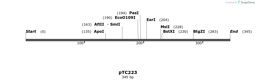 129791_map