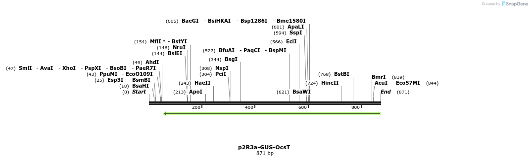 129801_map