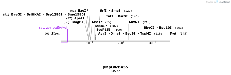 129819_map