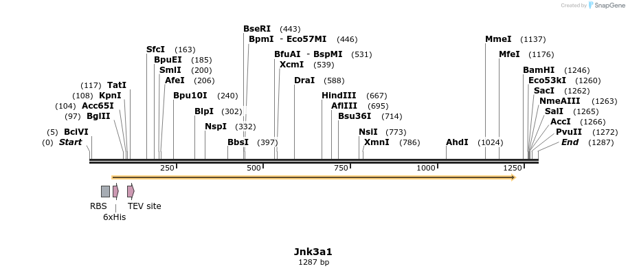 12982_map