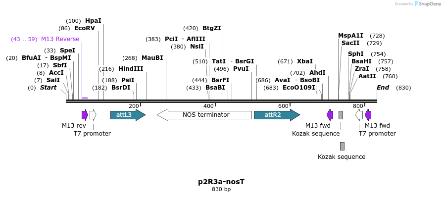 129821_map