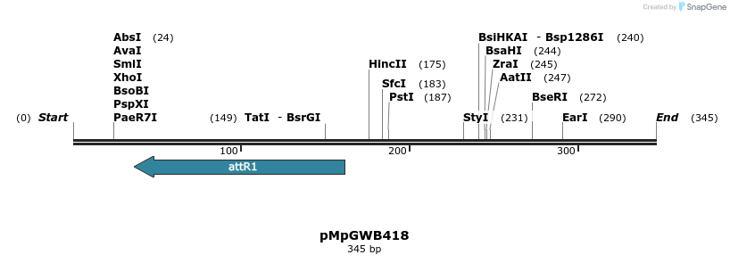 129822_map