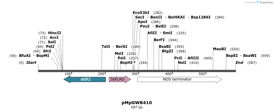 129824_map