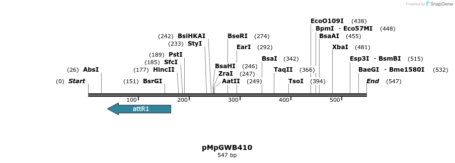 129825_map