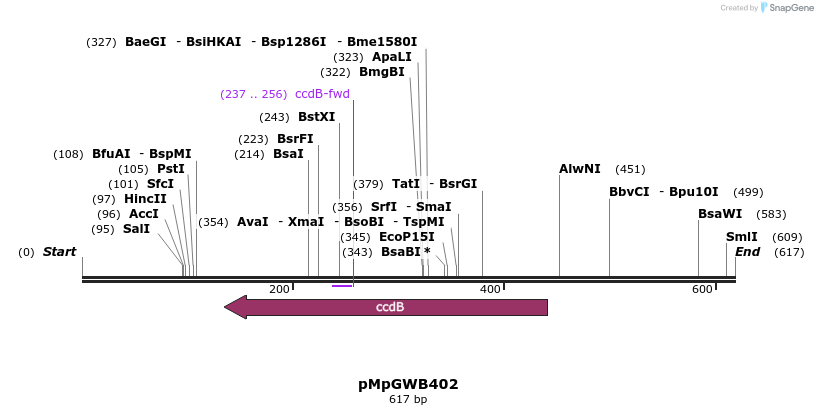 129828_map
