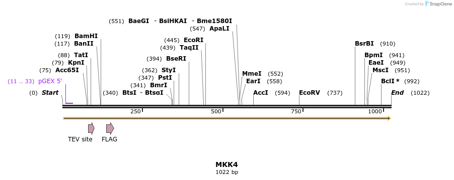 12983_map