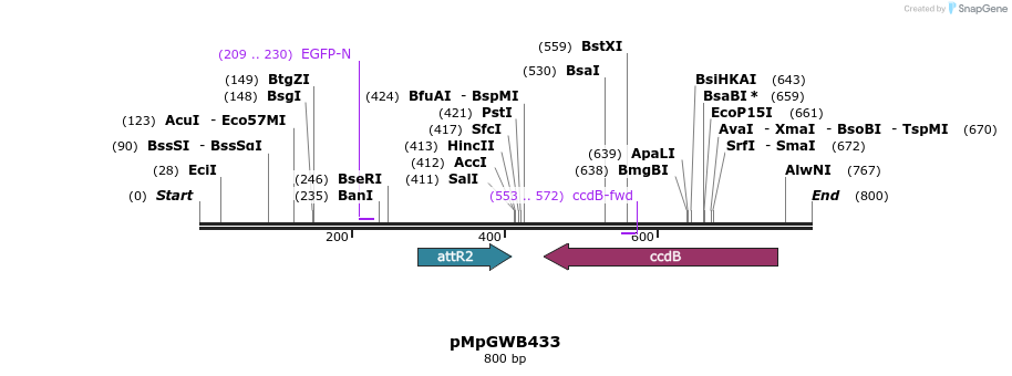 129832_map