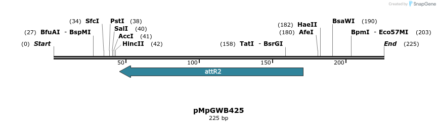 129834_map