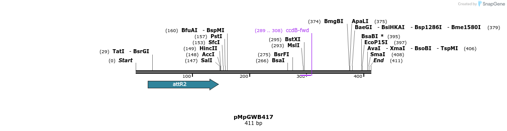 129835_map