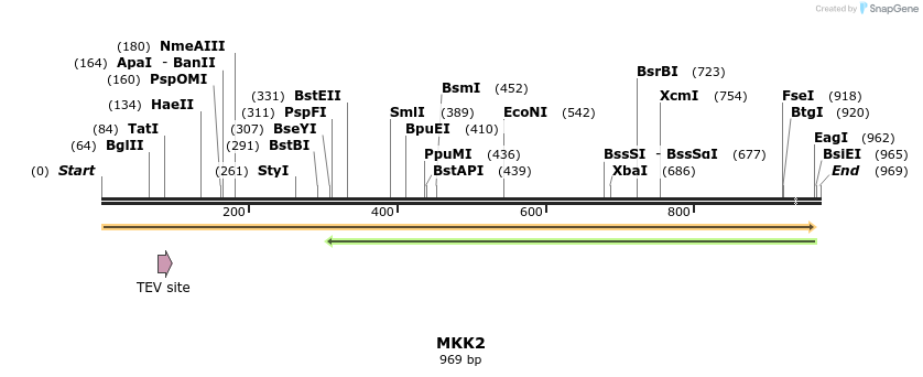 12984_map
