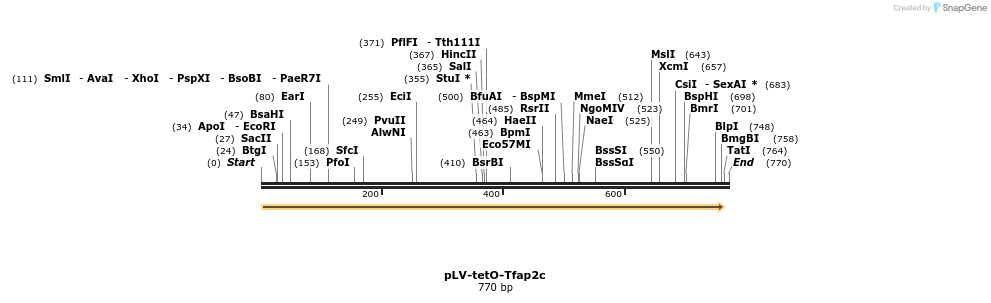 129841_map