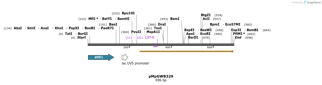 129842_map