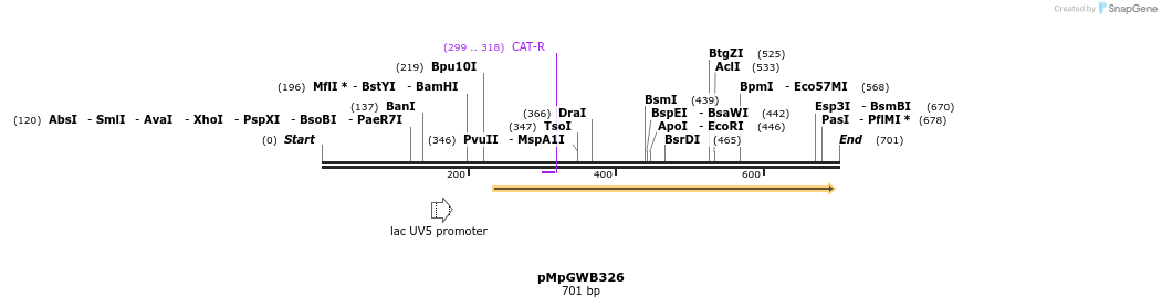 129843_map