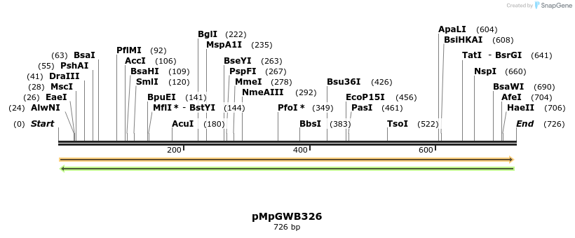 129845_map