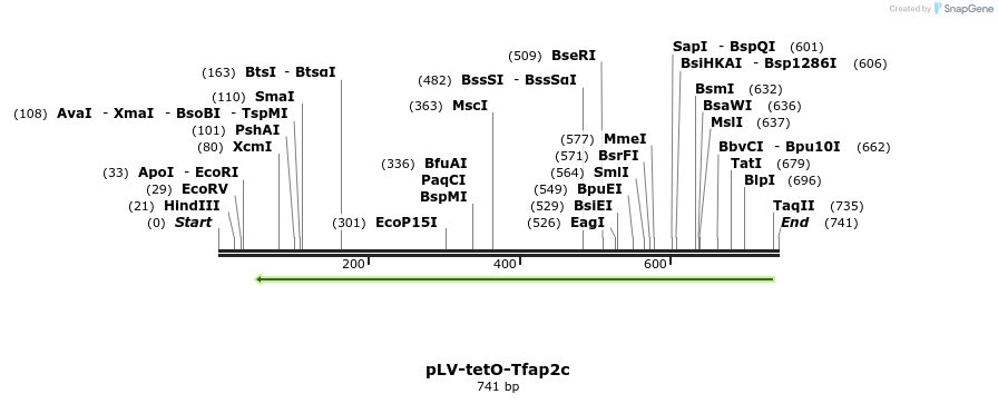 129846_map