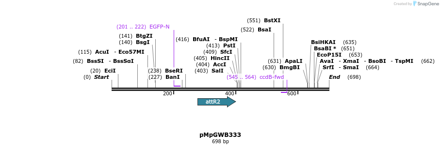 129848_map