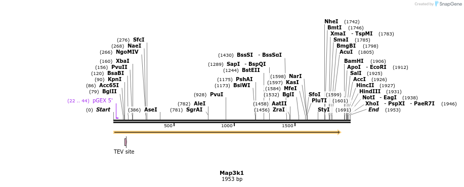 12985_map