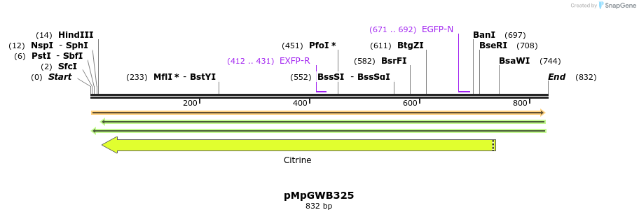 129851_map