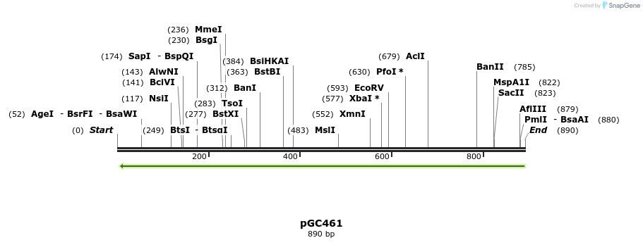 129859_map