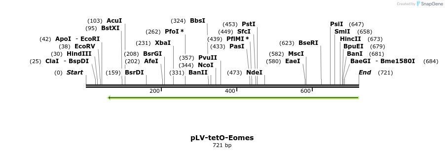 129860_map