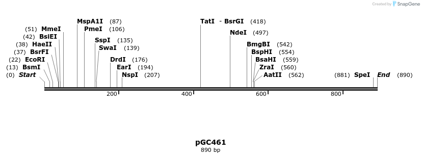 129861_map