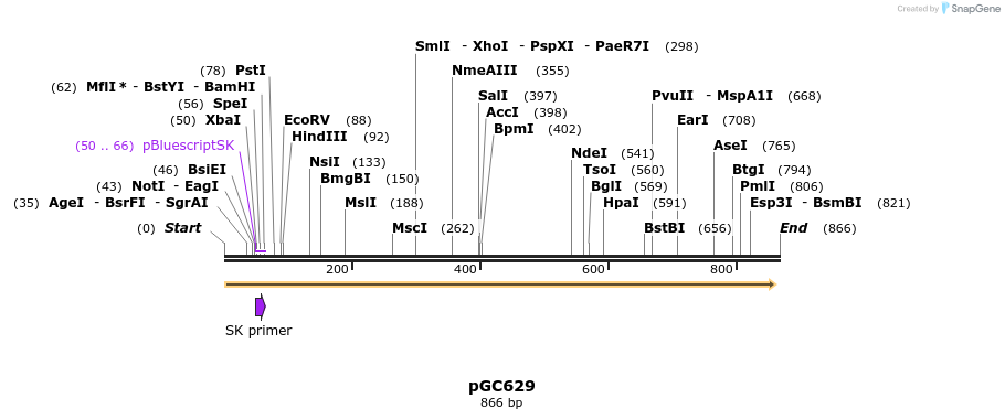 129862_map