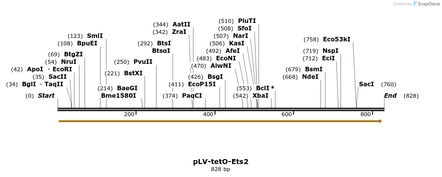 129864_map