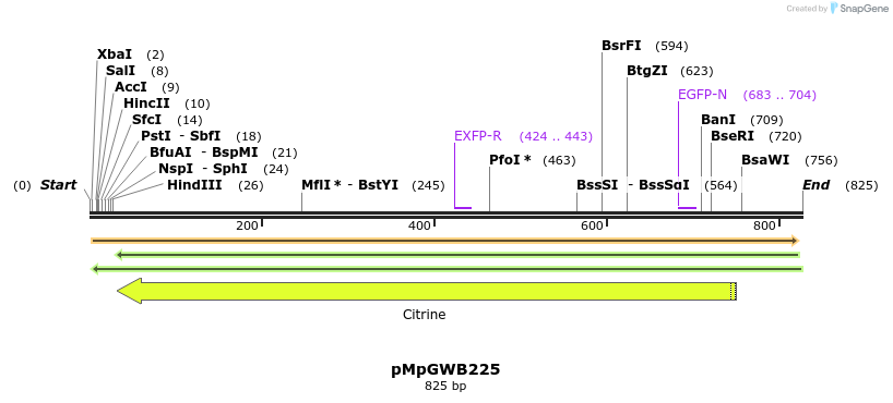 129872_map