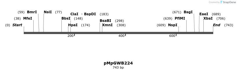 129876_map