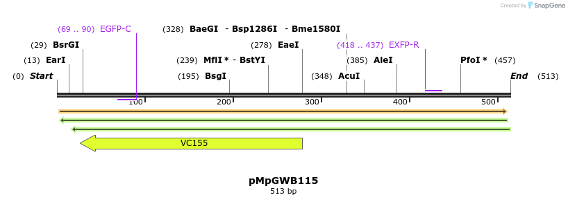 129878_map