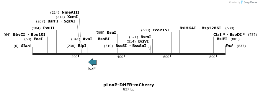 129880_map