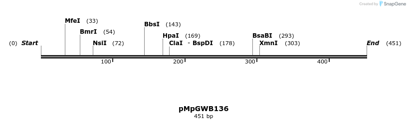 129881_map