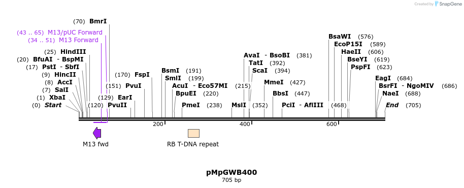129886_map
