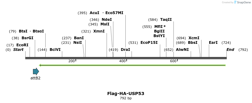 129889_map