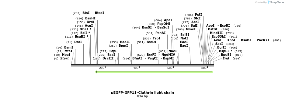 129891_map