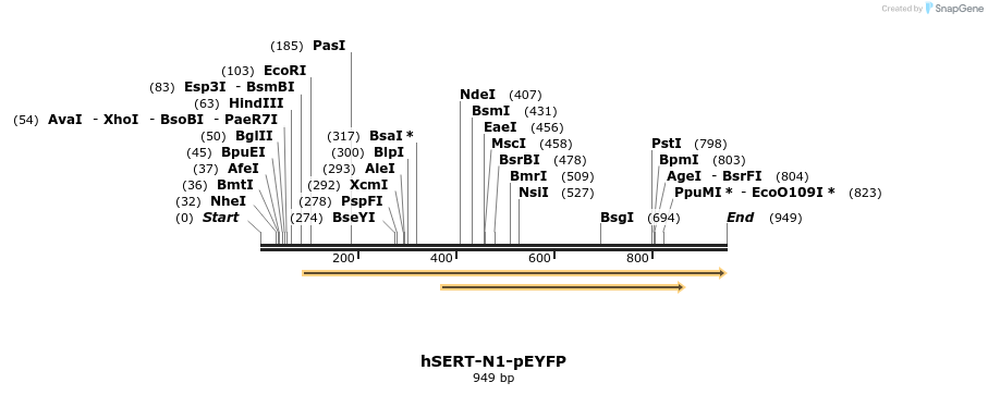 129892_map