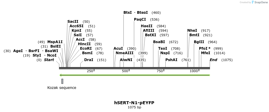 129893_map