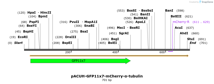 129894_map
