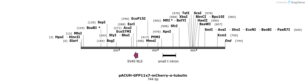 129895_map