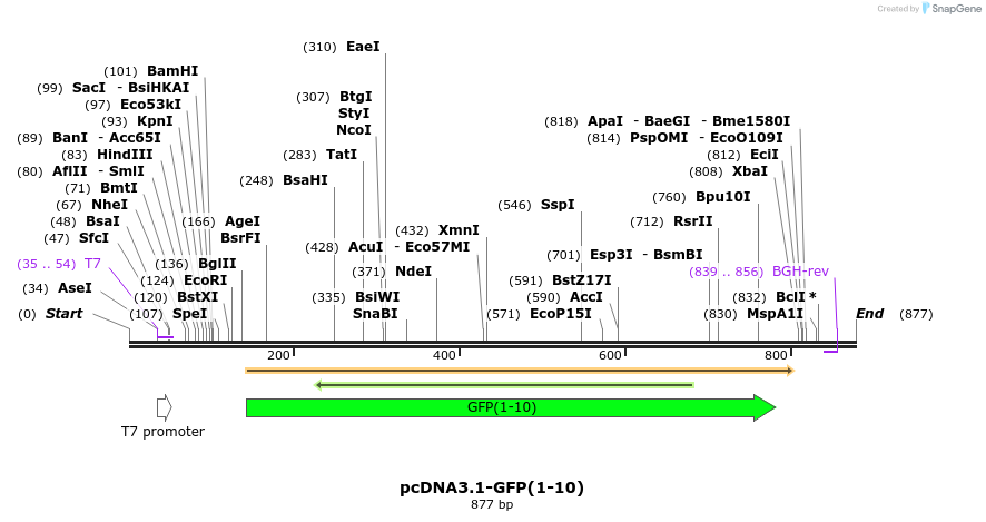 129896_map