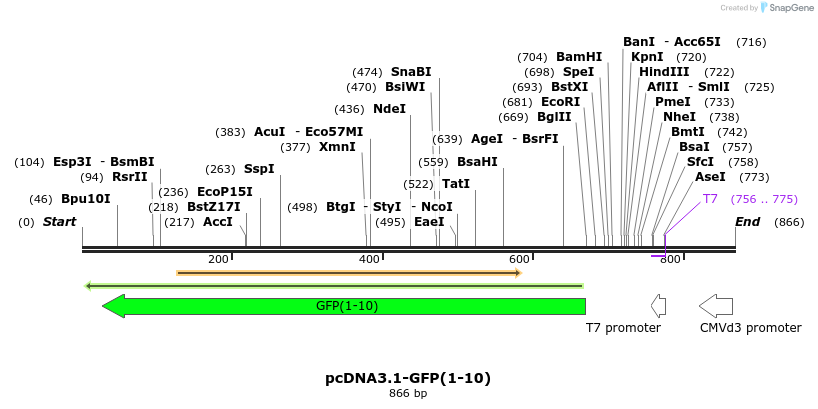 129897_map