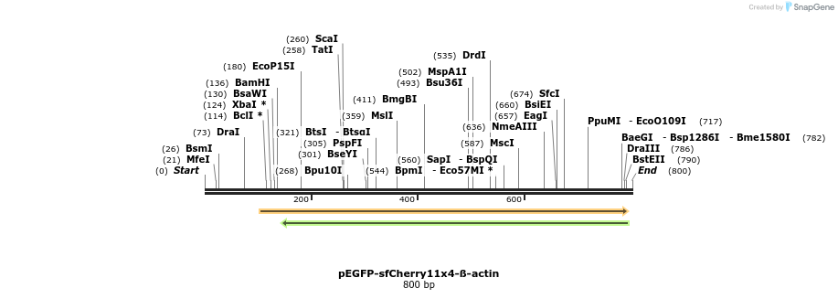 129900_map