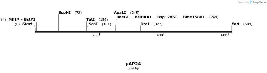 129902_map
