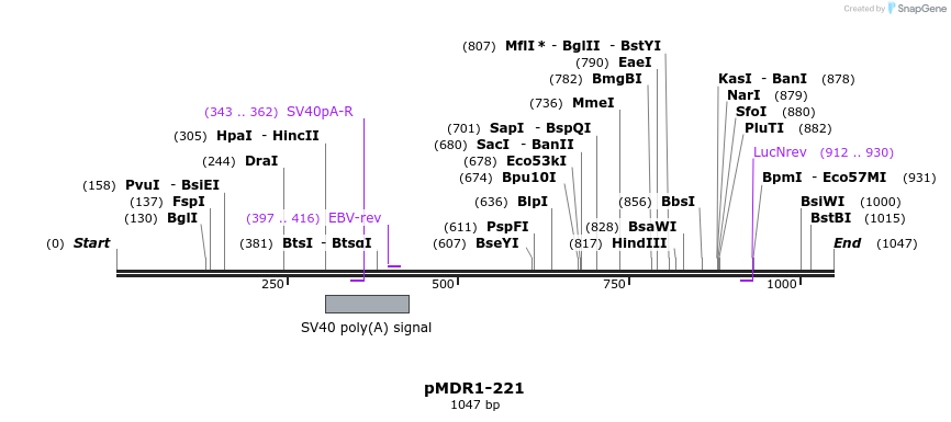 129903_map