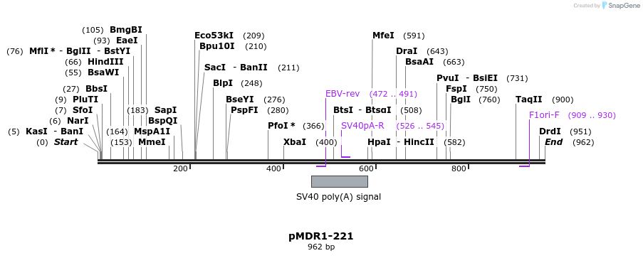 129904_map