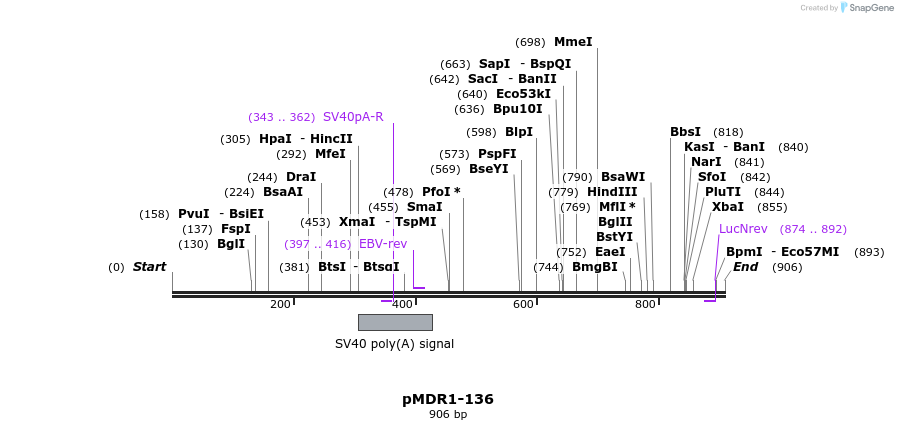 129905_map