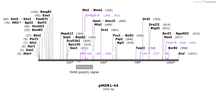 129911_map