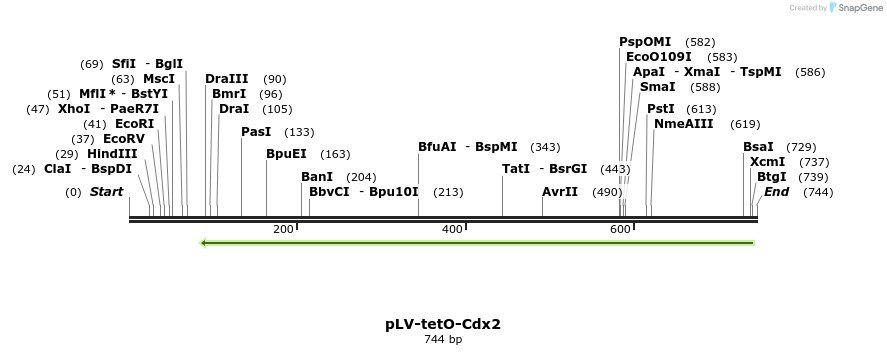 129912_map