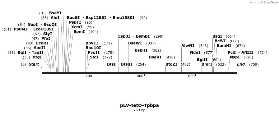 129915_map